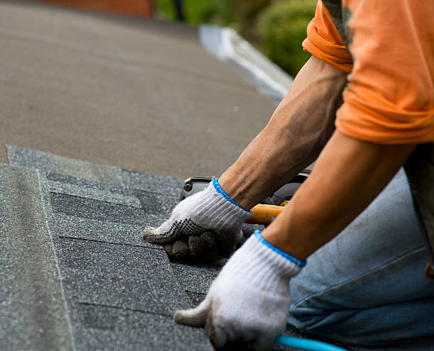 Best Shingle Roofing Installation  in Sanborn, IA